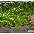 현대인-공존 이미지