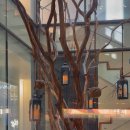 코너스톤(cornerstone | 대전 신세계백화점 근처 카페 도룡동 코너스톤H 스페셜티커피 맛집