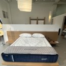 사임당로19길 28-3 | SLQK 플래그십 쇼룸 방문 후기(로쿠침대-가구하나끝)