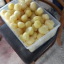 화강농장 이미지