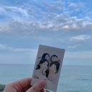 유정민박 이미지