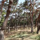 구경식당 이미지