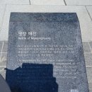 세종한울길 Daum카페