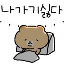 브레드킹 이미지