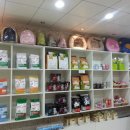 멍멍아 놀자 이미지