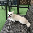 독탑라운지 이미지