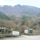 A1 | 횡성 자작자작 캠핑장 A1 사이트 명당 후기 개별 울타리 있는 애견동반 캠핑장 추천