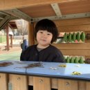 복있는어린이집 이미지