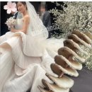 디자인딱 이미지