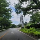 안심리 | 경남 하동 금오산랜드 가격, 식당 메뉴, 펜션 사진 오픈런 물썰매 평일 방문 후기