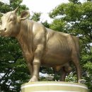 홍성한우 이미지