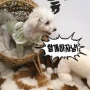 함개하자냥 이미지