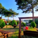 펜션파인씨 이미지