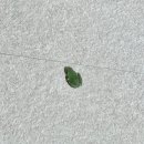 봄나루호텔 이미지