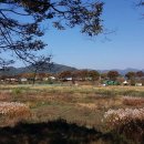 담양오방길5코스(누정길) 이미지