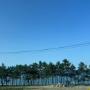 코스테펜션 이미지