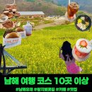11500-8-25-12 | 남해 여행지 벚꽃 유채꽃 여행 코스 10곳