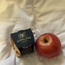 동방콘크리트 | [시드니여행 DAY5 1005 코스탈워크, 본다이비치, 아이스버그 수영장, 왓슨스베이, 갭파크, 페리, 휴버트]