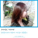 백영옥미용실 - 서초구 | 공덕미용실 에코쟈뎅 두피클리닉 되는 오주아클리닉으로 머릿결이 보들보들해졌어요