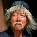 댕댕이미용 이미지