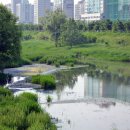 오금1로 이미지