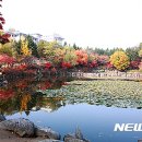 백령스포츠