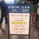 아쿠아게임즈 | 🐳잠실 롯데월드타워 아쿠아리움 입장료 할인 주차 꿀팁 36개월무료 수족관 벨루가