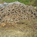 병식농장 이미지