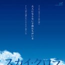 스카이 이미지