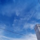 충남중네거리 이미지