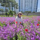 26.5.8.9.동래역.영천 금호강변 작약공원.수성.진밭골산림공원 지둘레길(우수수님길) 이미지