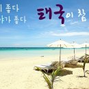파타야 이미지