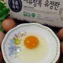 쉴만한 농원 이미지