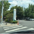 「숲속열린음악회 with 이현공원 풍경 015B & V.O.S」 | 대구 이현공원 수국 개화 상황 및 6월 나들이 겸 산책하기 좋은 곳