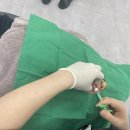 엔의원 이미지