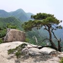 문경 조령산+문경새재 과거길 예약/좌석배치(9월5일) 이미지