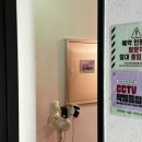 거닐 거닐 이미지