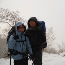 여우빛산장 이미지