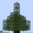 나무테크 이미지