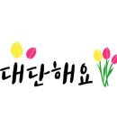 꽃송이인셀덤 이미지