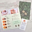 복호두 구미봉곡점 | 복호두 신메뉴 쑥호두과자 답례품 추천 복호두 구미봉곡점