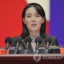 5022 연합뉴스