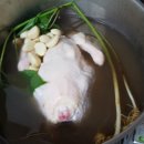 고로쇠산삼농원 이미지