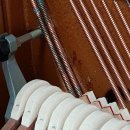 대림상회 이미지