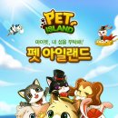 펫아일랜드 이미지