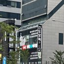 24시 센텀동물메디컬센터 연산점 | 강아지 뇌수두증 판정 / 24시 센텀동물메디컬센터연산점