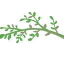 삼일반점 이미지