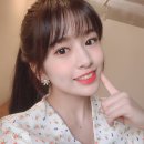 오늘도 댕댕 이미지