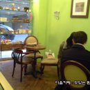 오뗄두스 Daum카페