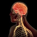 미주메디칼 이미지